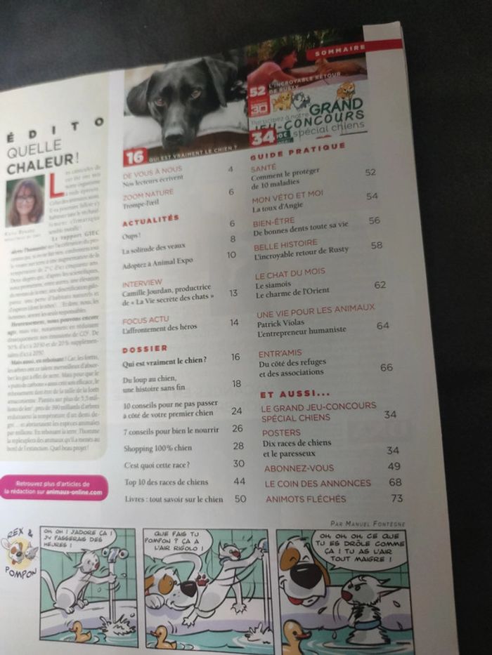 Magazine 30 millions d'amis numéro 376 septembre 2019 - photo numéro 3