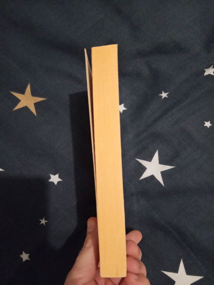 Livre (171) 📚 Et après... - photo numéro 4