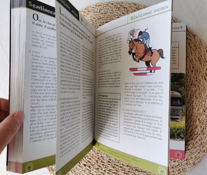 L'encyclopédie 🐴 de la cavalière qui veut tout savoir ! - photo numéro 8