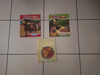 Lot livres masha et michka et roi lion