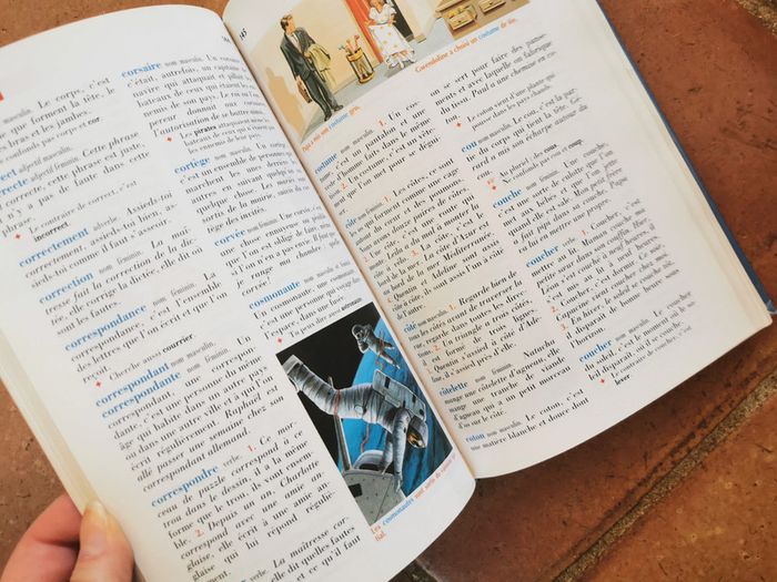 Le Robert Benjamin, dictionnaire 6 à 8 ans - photo numéro 2