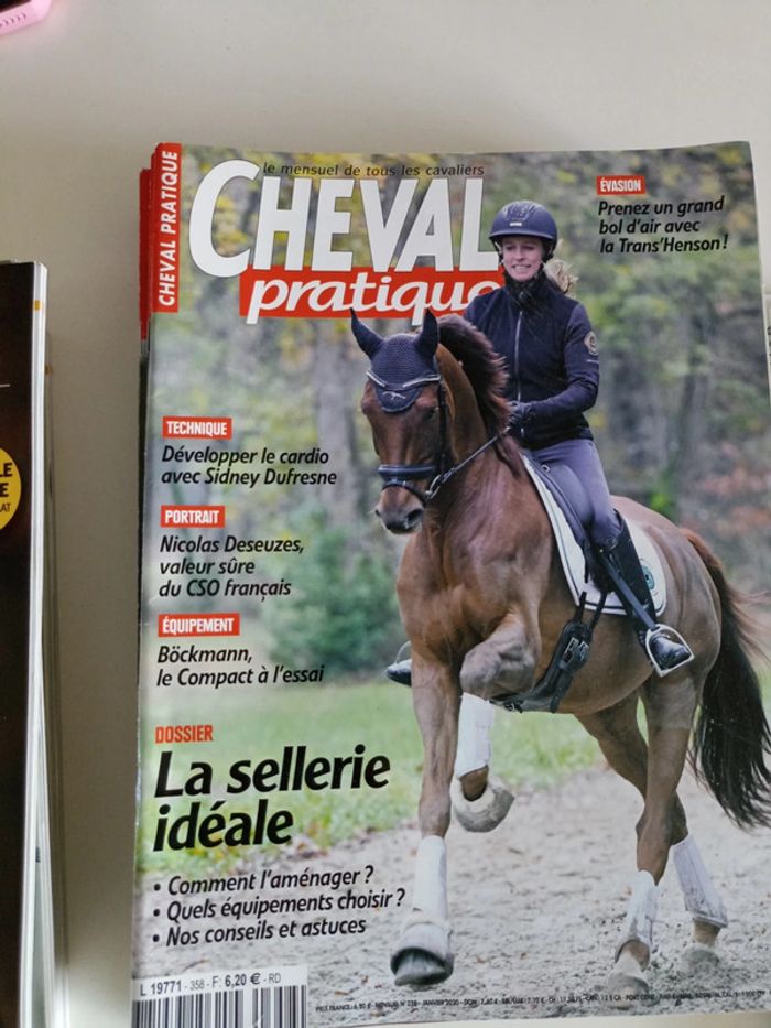 Cheval pratique - photo numéro 3
