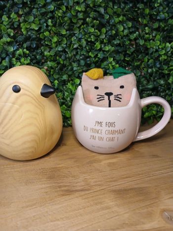 Mug chat 