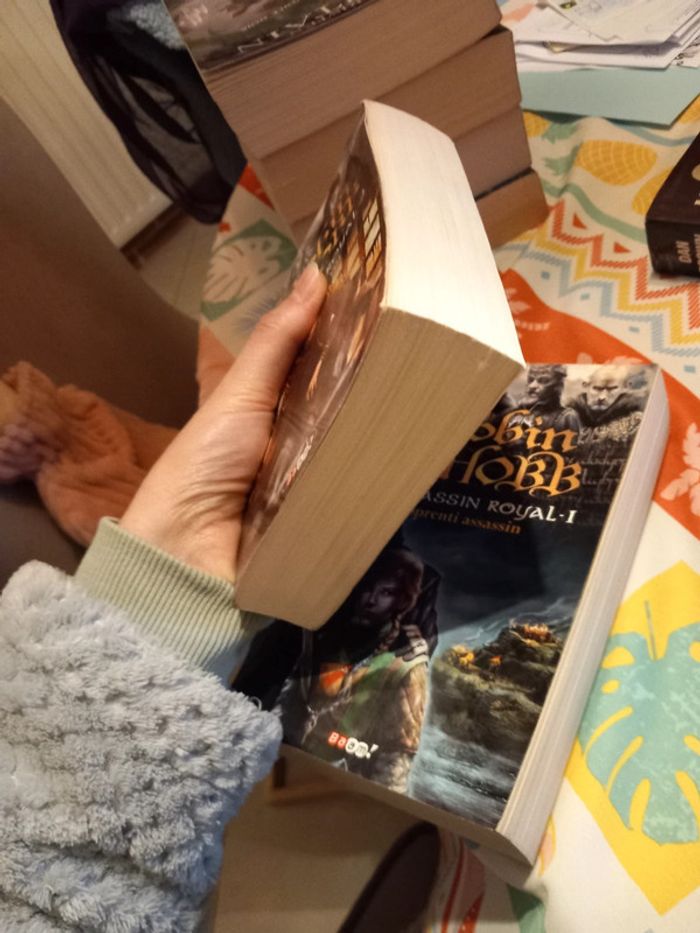 Robin hobb tome 1 et 2 - photo numéro 6