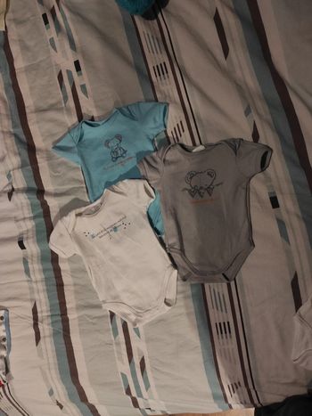 Lot 3 body manche courte doudou Koala