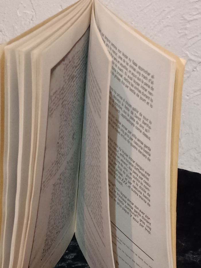 Forcalquier au temps de la peste - photo numéro 9