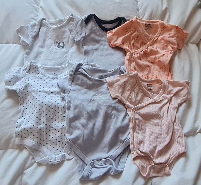 Lot de 17 bodys manches courtes 3 mois - photo numéro 3