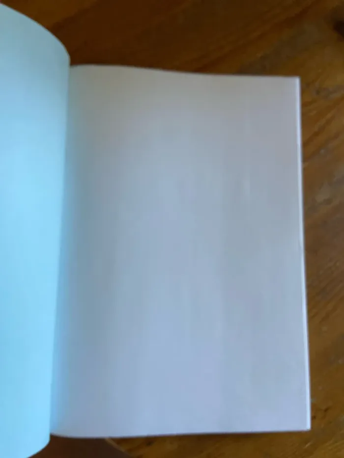 Bloc de dessin ( papier bouffant ) - photo numéro 4