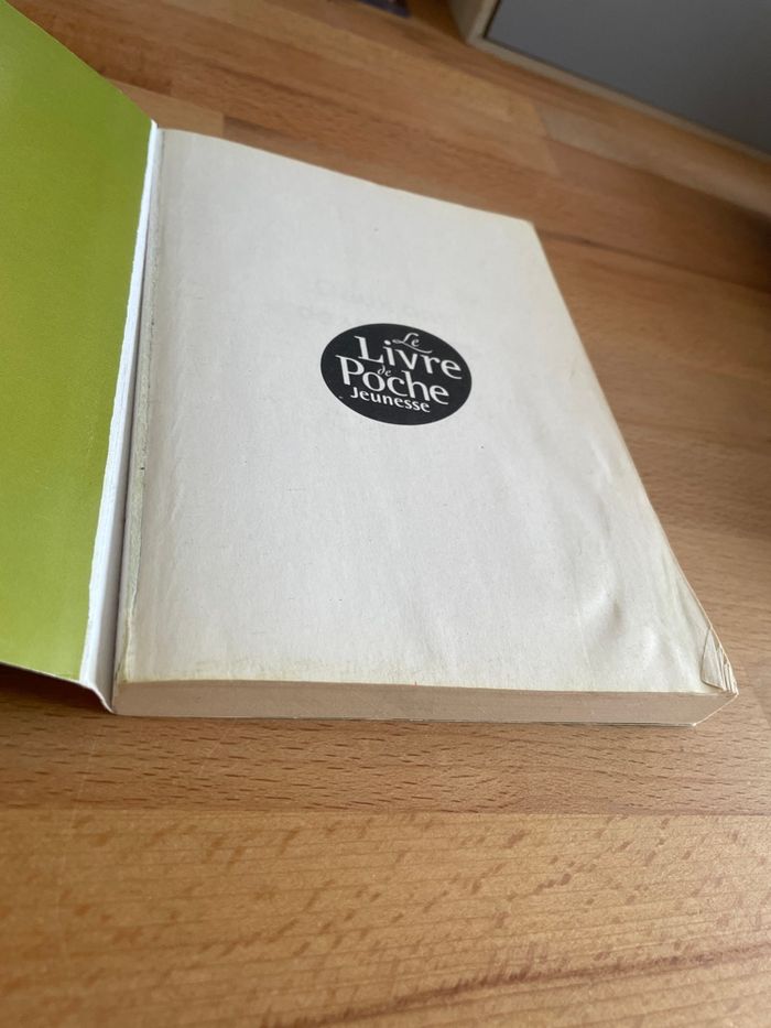 Deux ans de vacances de Jules verne - photo numéro 2