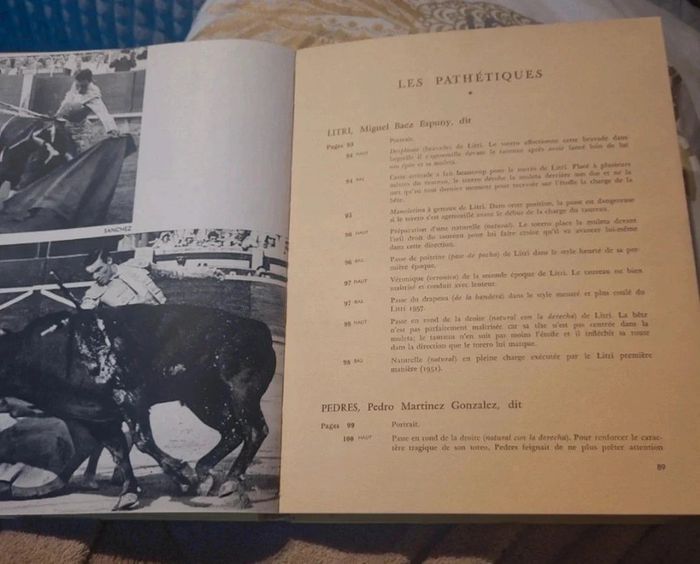 Toreros dans l'arène - photo numéro 6