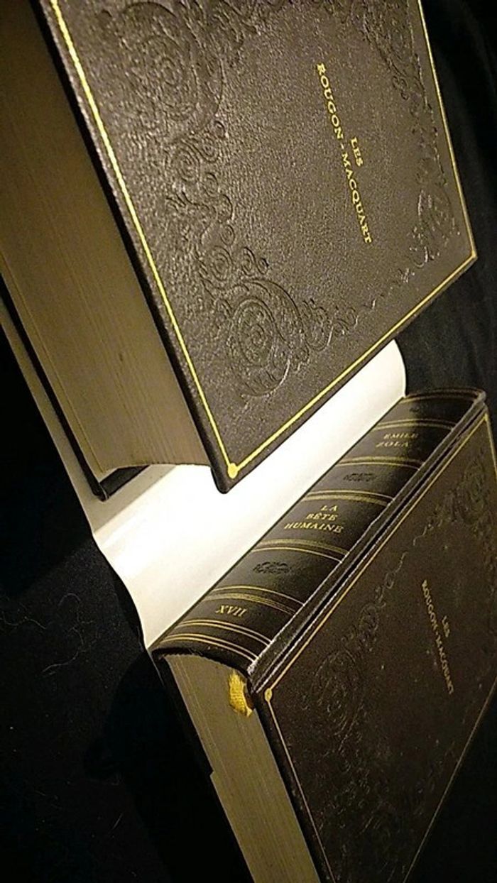 Livres Emile Zola - photo numéro 2