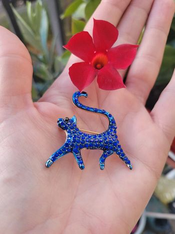 Chat strass bleus