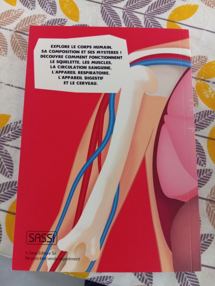 Puzzle corps humain - photo numéro 6