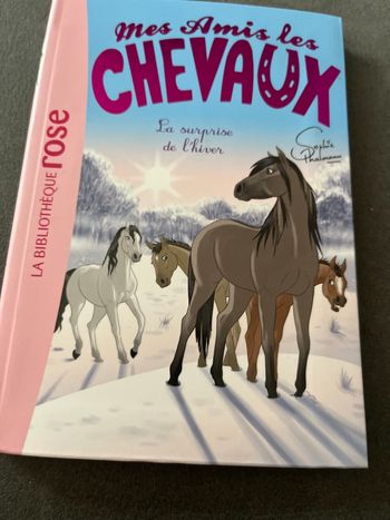 Livre bibliothèque rose mes amis les chevaux tome 7