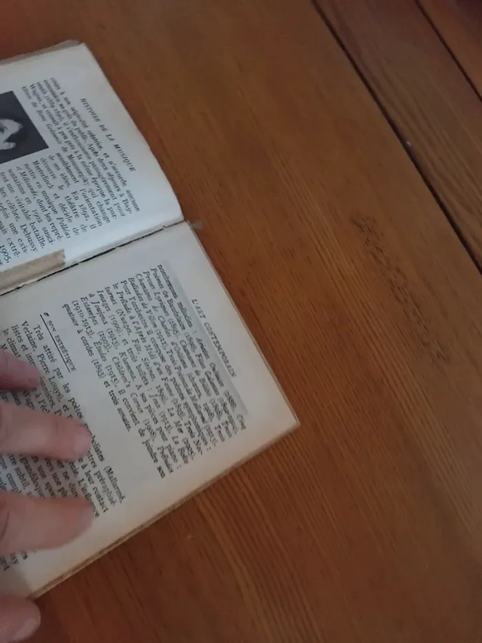 Histoire de la musique - photo numéro 4