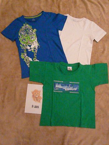 Lot de 3 tee-shirts 8 ans (n°37)