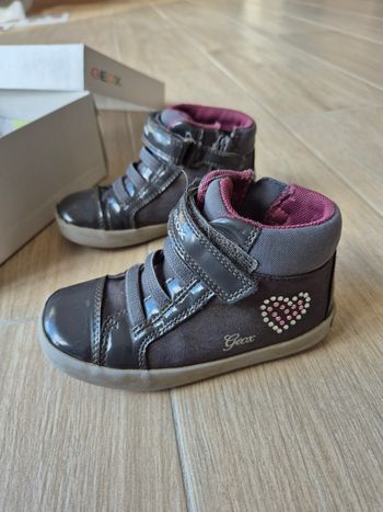 Geox grises