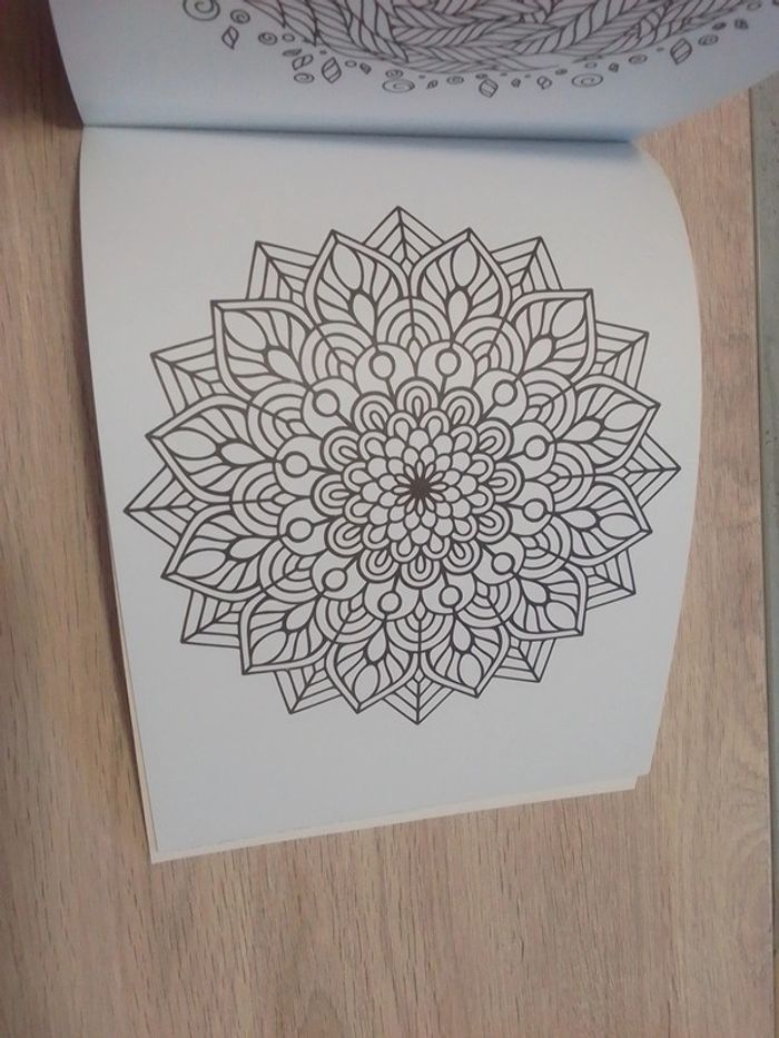 Livre coloriage - photo numéro 4