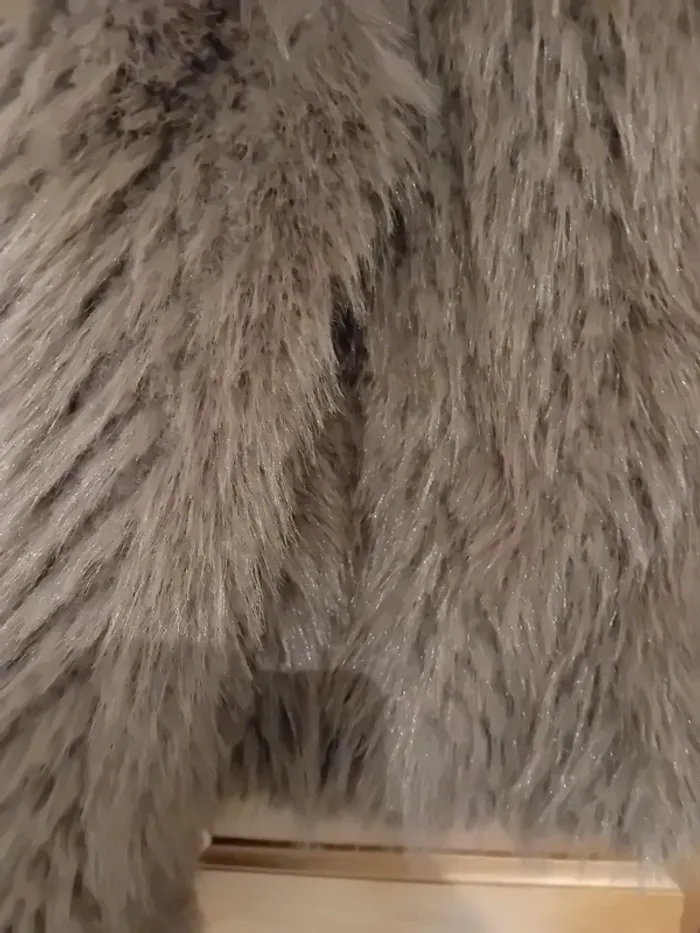 Veste fourrure - photo numéro 5