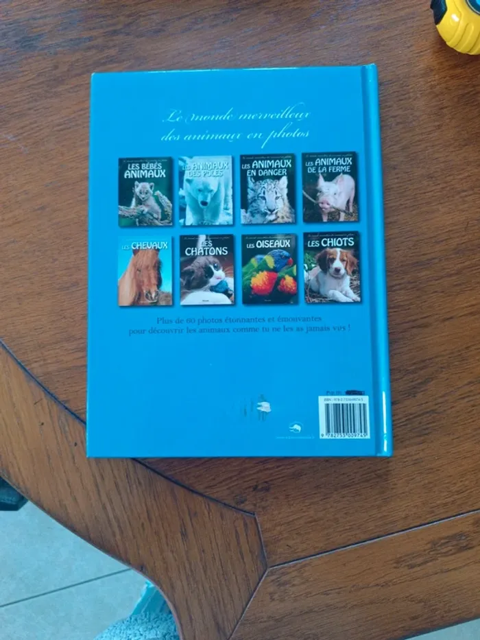 Les chevaux - photo numéro 2