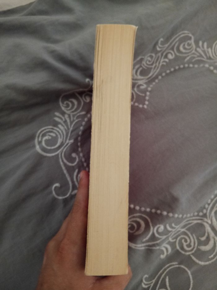 Livre (17) 📚 La saga des O'Hurley - photo numéro 4