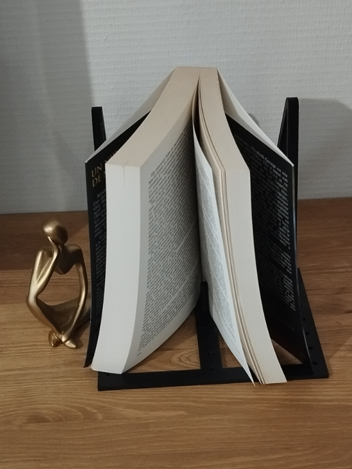 Roman Un nid de mensonges de Elizabeth George - photo numéro 5