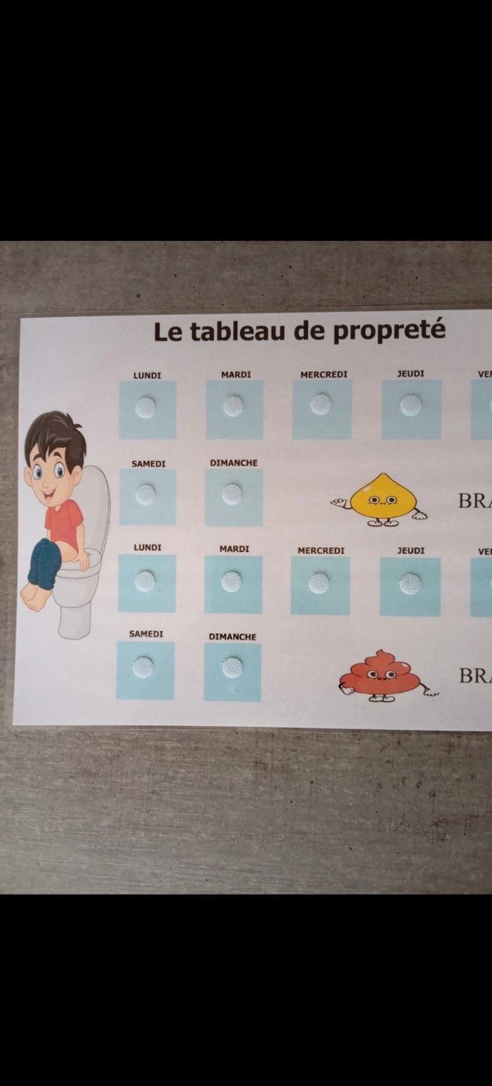 Fiche plastifiée tableau de propriété pour enfant - photo numéro 2