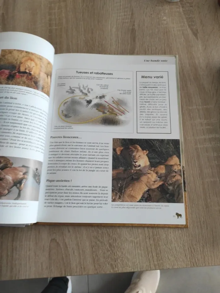 Livre édition atlas le lion - photo numéro 3