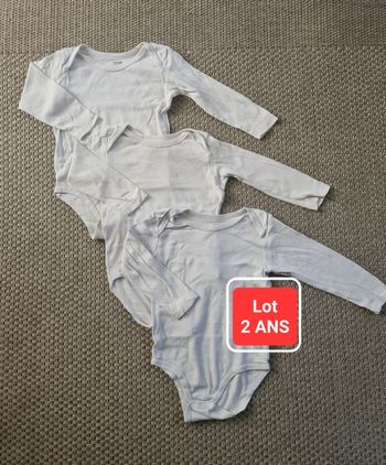 Lot de 3 bodies mixtes manches longues - 24 mois