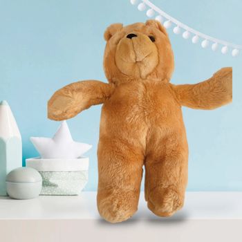 Ourson en peluche 🧸