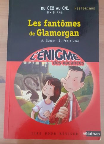 Livre l'énigme des vacances