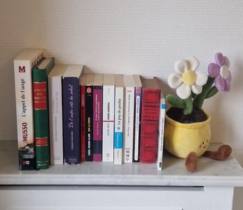 Lot de livres de roman