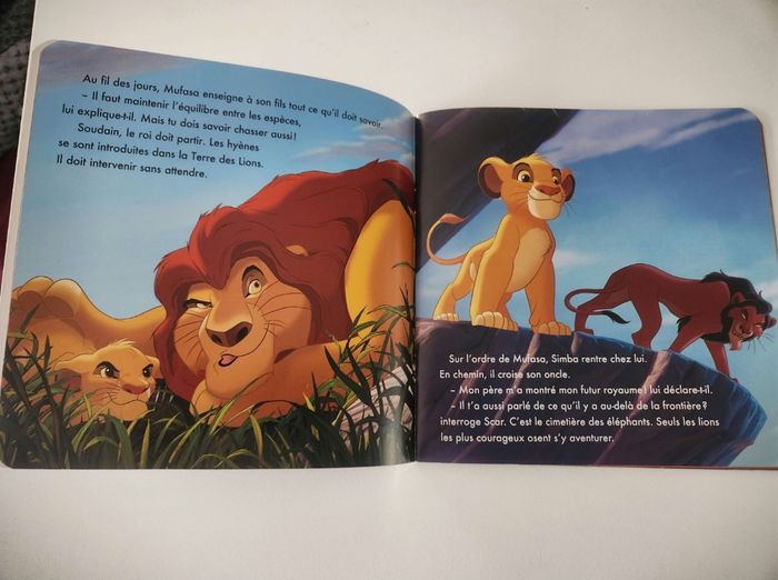 Le roi lion - photo numéro 2