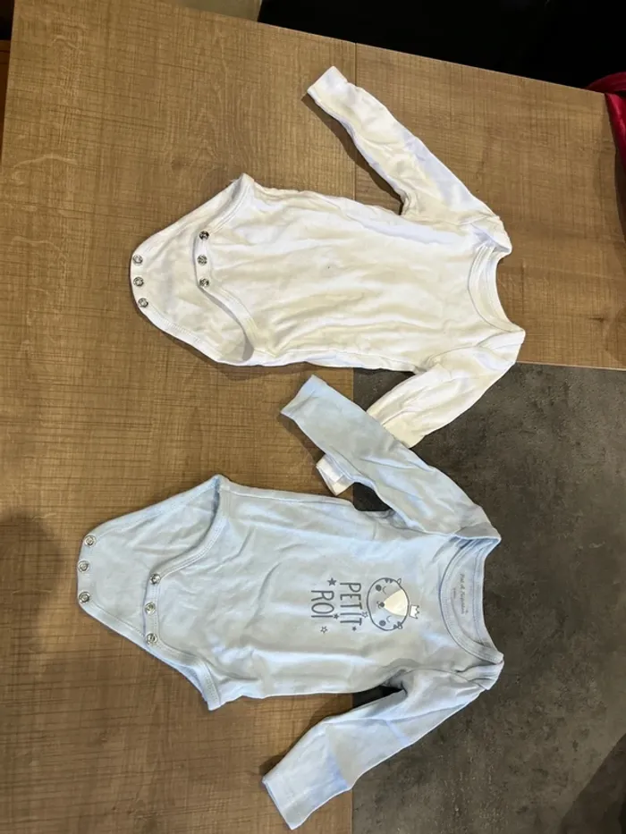 Lot 2 bodys