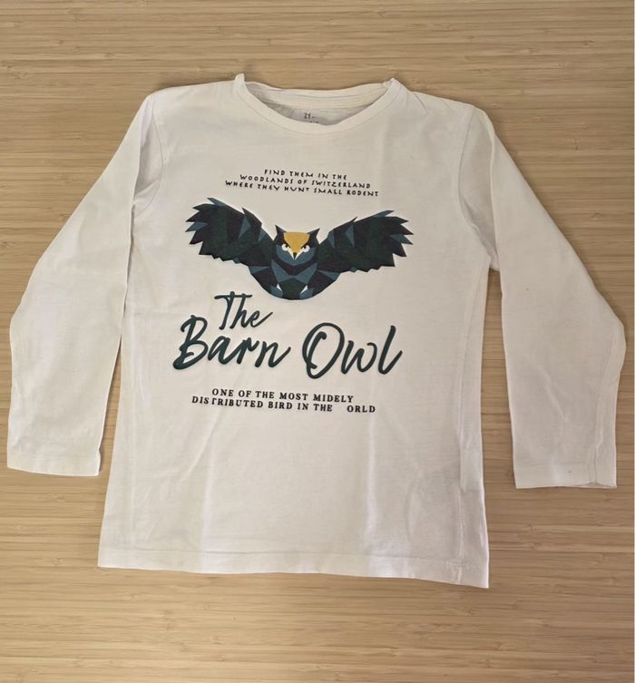 Lot t-shirts manches longues 8ans - photo numéro 5