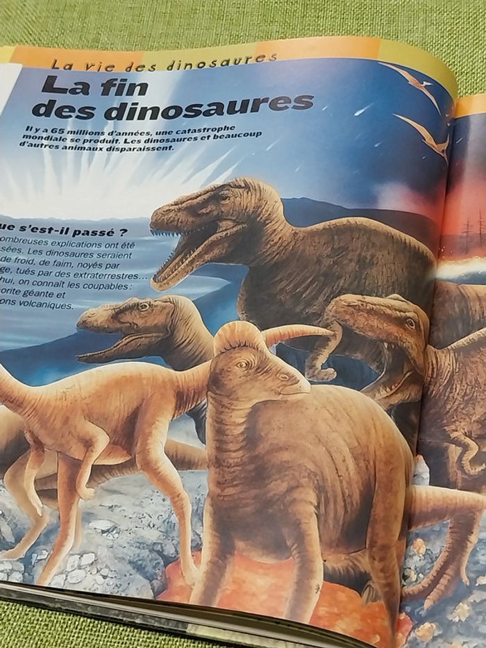 Les dinosaures livre enfant jeunesse Larousse - photo numéro 7