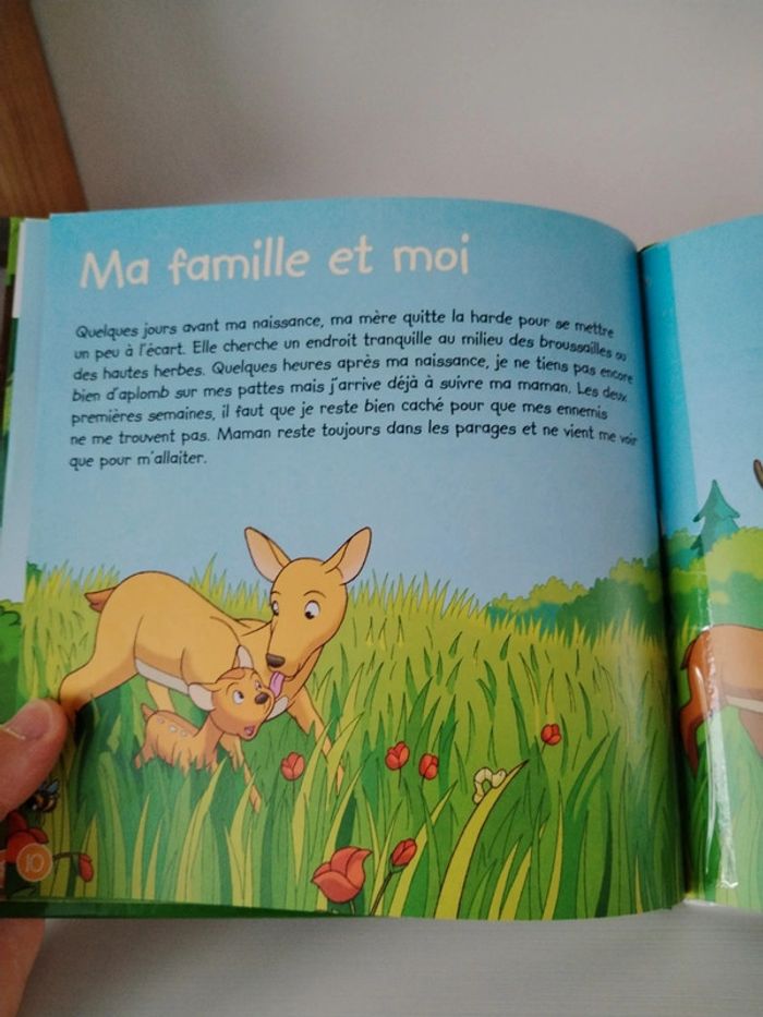 Altaya Les animaux de la forêt n°1 Le cerf - photo numéro 11