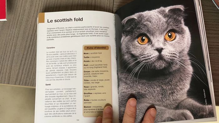 Livre - photo numéro 2