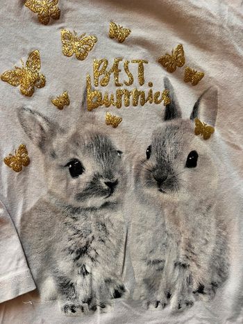 T-shirt lapin et papillon H&M taille 4-6 ans