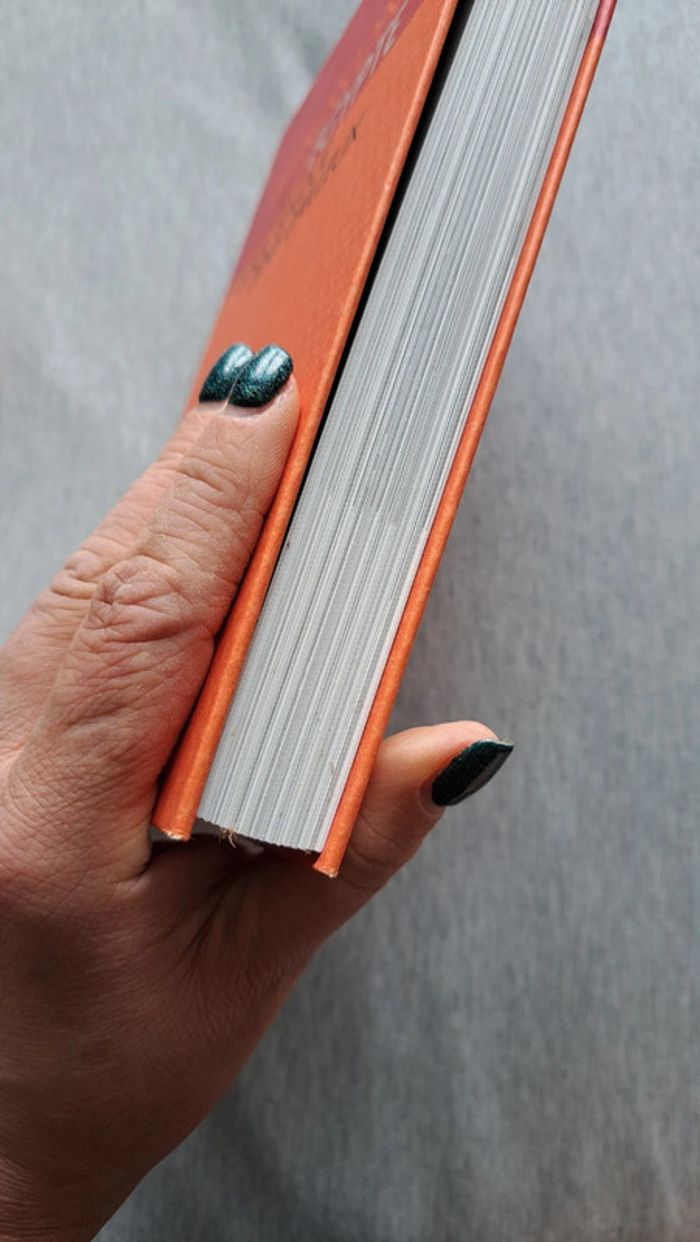 Livre impressions d'Égypte - photo numéro 11