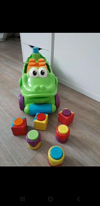 Croco blocs rigolo