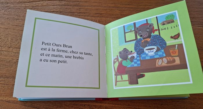 Petit ours brun - photo numéro 2