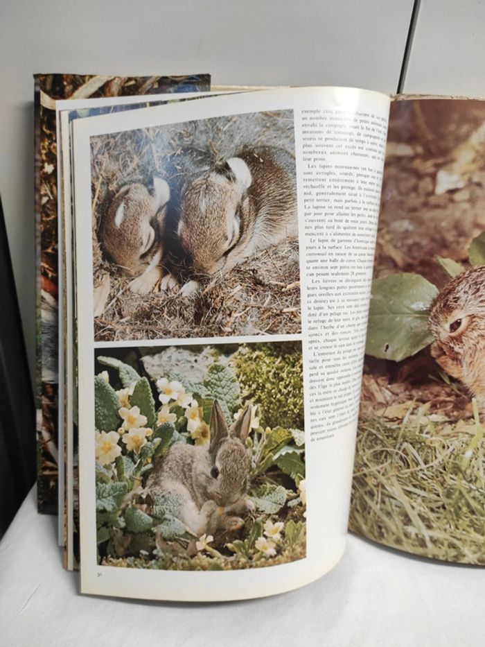 Les bébés animaux, Robert Burton - photo numéro 3