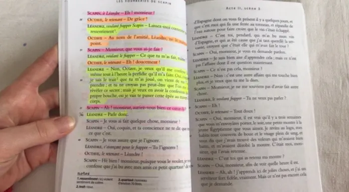 Molière - les fourberies de Scapin - photo numéro 6