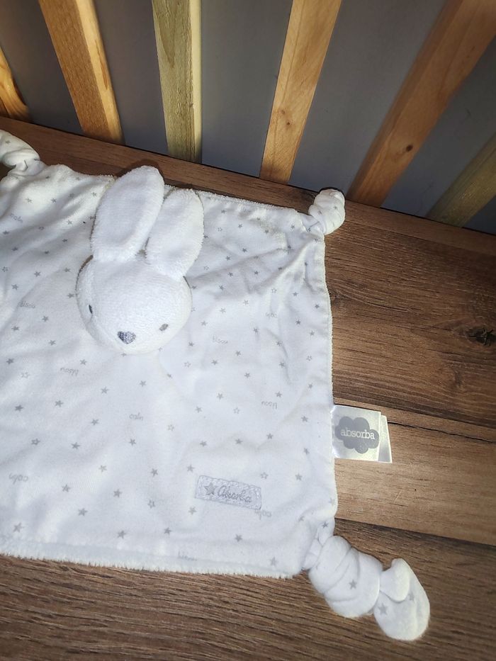 Lapin absorba gris et blanc - photo numéro 2