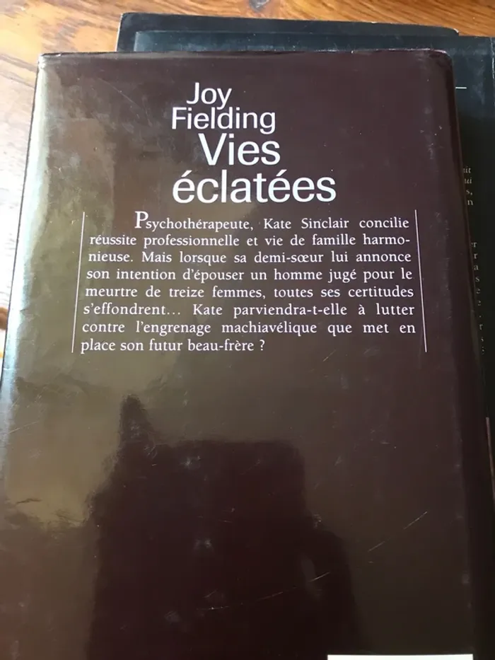 Vies éclatées - photo numéro 4