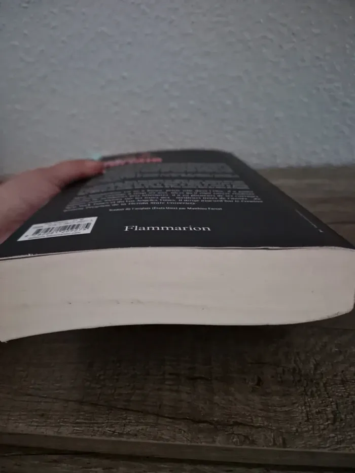📚 livre la vengeance du parrain - photo numéro 5