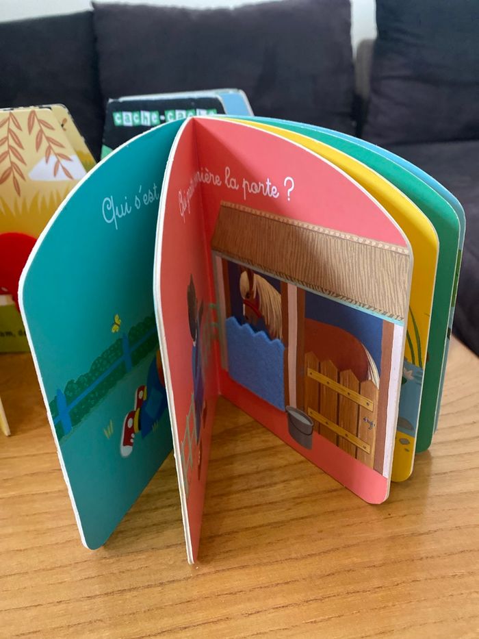 Lot de 5 livres cache cache - photo numéro 5