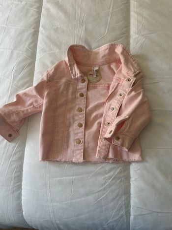 Vestes