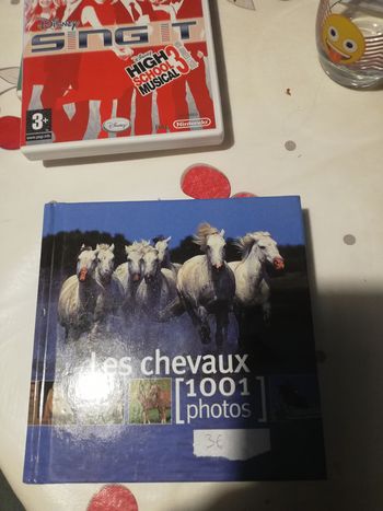 Les chevaux en 1001 photos